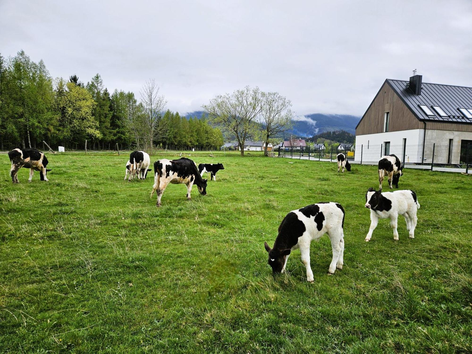 Zacisze W Karkonoszach Villa Karpacz Luaran gambar